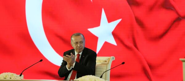 Cumhurbaşkanı Recep Tayyip Erdoğan - Sputnik Türkiye