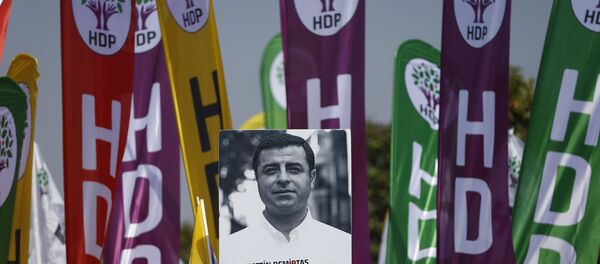 1 Mayıs 2018, İstanbul, Maltepe mitingi, HDP korteji, Selahattin Demirtaş posteri 1 Mayıs 2018, İstanbul, Maltepe mitingi, HDP korteji, Selahattin Demirtaş posteri - Sputnik Türkiye