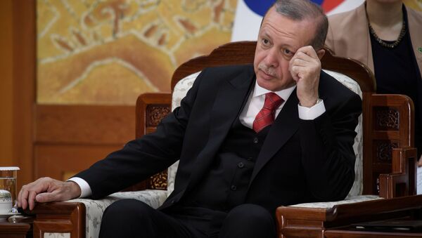 Cumhurbaşkanı Recep Tayyip Erdoğan, Güney Kore'de. - Sputnik Türkiye
