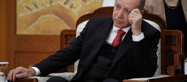 Cumhurbaşkanı Recep Tayyip Erdoğan, Güney Kore'de. Cumhurbaşkanı Recep Tayyip Erdoğan, Güney Kore'de. - Sputnik Türkiye