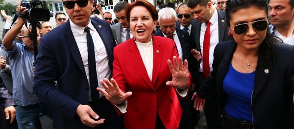 İYİ Parti Genel Başkanı Meral Akşener - Sputnik Türkiye