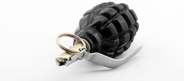 F1 grenade - Sputnik Türkiye