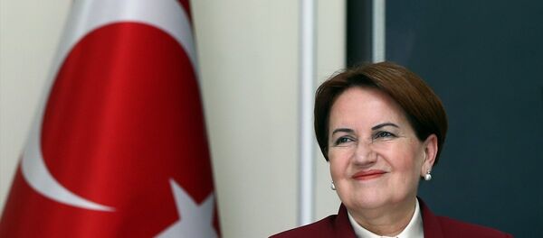 Meral Akşener - Sputnik Türkiye