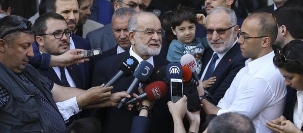 Temel Karamollaoğlu - Sputnik Türkiye
