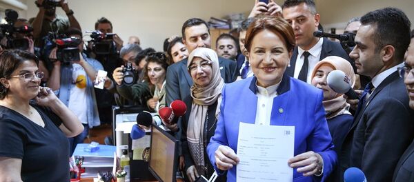 İYİ Parti Genel Başkanı Meral Akşener - Sputnik Türkiye