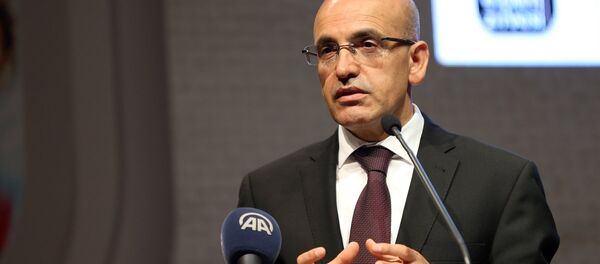 Başbakan Yardımcısı Mehmet Şimşek - Sputnik Türkiye