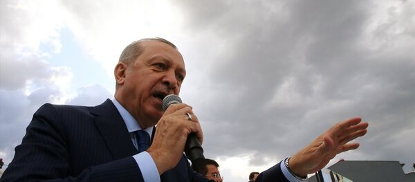 Recep Tayyip Erdoğan - Sputnik Türkiye