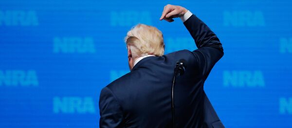 ABD Başkanı Donald Trump - Sputnik Türkiye