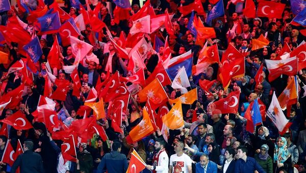 AK Parti, seçmen, bayrak - Sputnik Türkiye