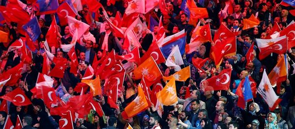 AK Parti, seçmen, bayrak - Sputnik Türkiye