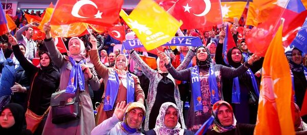 AK Parti, seçmen, bayrak - Sputnik Türkiye