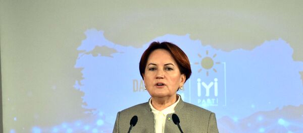 Meral Akşener - Sputnik Türkiye