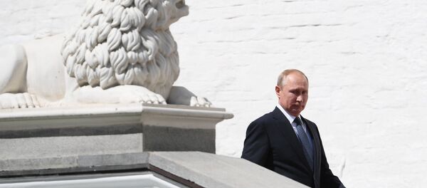 Rusya Devlet Başkanı Vladimir Putin - Sputnik Türkiye