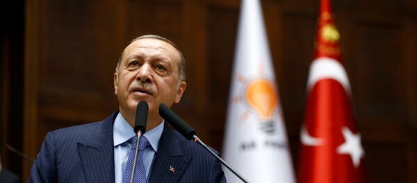 Cumhurbaşkanı Recep Tayyip Erdoğan - Sputnik Türkiye