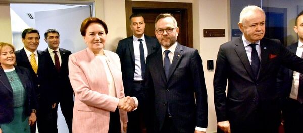 Michael Roth - Meral Akşener - Sputnik Türkiye