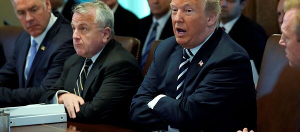 Trump kabine toplantısında - Sputnik Türkiye