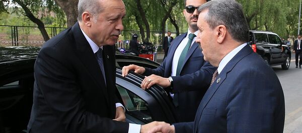 Destici, Erdoğan'ı kapıda karşıladı. - Sputnik Türkiye