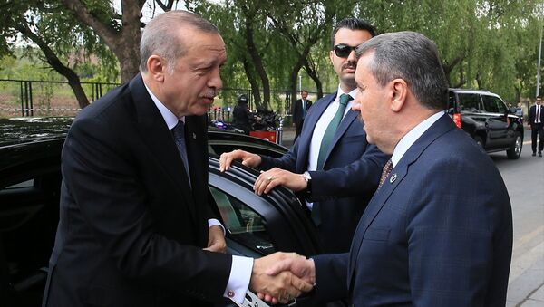 Destici, Erdoğan'ı kapıda karşıladı. - Sputnik Türkiye