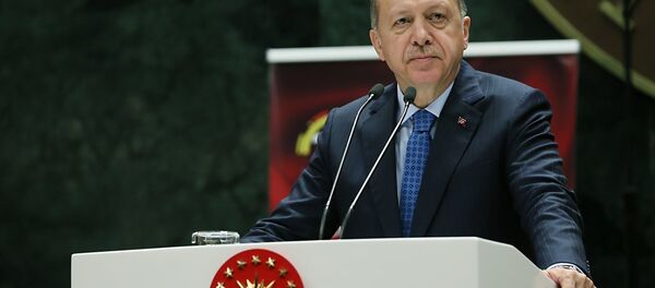 Recep Tayyip Erdoğan - Sputnik Türkiye