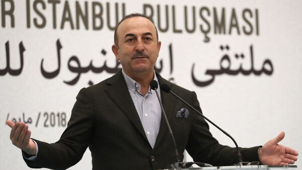 Dışişleri Bakanı Mevlüt Çavuşoğlu - Sputnik Türkiye