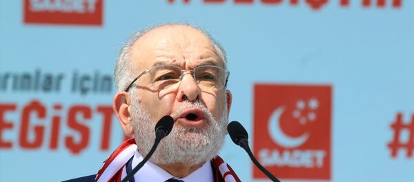 Temel Karamollaoğlu - Sputnik Türkiye