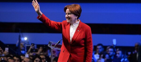 Meral Akşener - Sputnik Türkiye