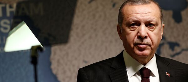 Cumhurbaşkanı Recep Tayyip Erdoğan - Sputnik Türkiye