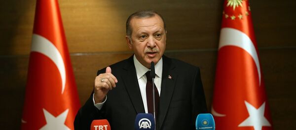 Cumhurbaşkanı Recep Tayyip Erdoğan - Sputnik Türkiye