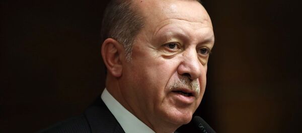 Cumhurbaşkanı Recep Tayyip Erdoğan - Sputnik Türkiye