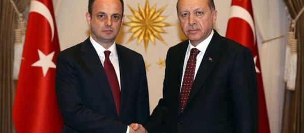 Murat Çetinkaya - Recep Tayyip Erdoğan - Sputnik Türkiye