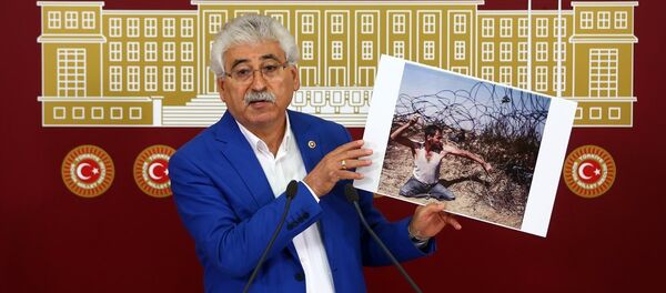 CHP Balıkesir Milletvekili Mehmet Tüm - Sputnik Türkiye