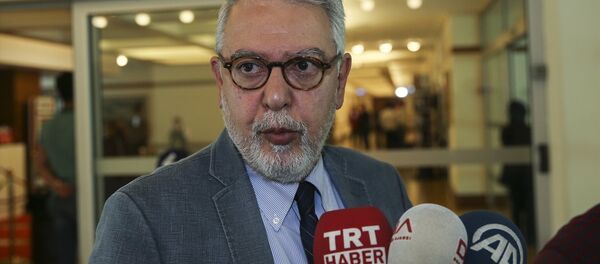 Türkiye'nin Washington Büyükelçisi Serdar Kılıç - Sputnik Türkiye