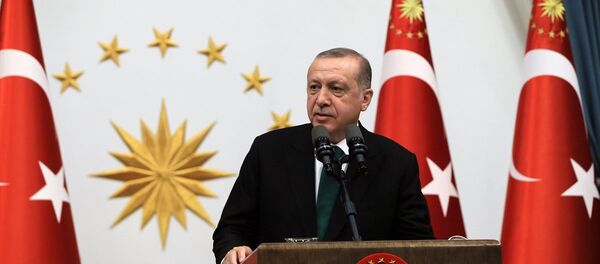 Cumhurbaşkanı Recep Tayyip Erdoğan - Sputnik Türkiye