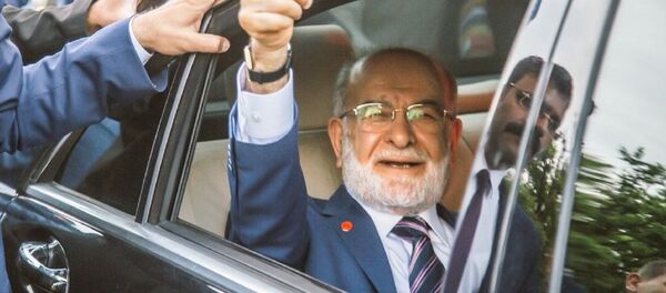 Temel Karamollaoğlu - Sputnik Türkiye