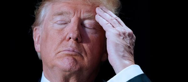 ABD Başkanı Donald Trump ABD Başkanı Donald Trump - Sputnik Türkiye