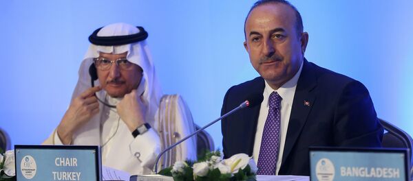 Dışişleri Bakanı Mevlüt Çavuşoğlu - Sputnik Türkiye