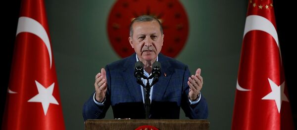 Cumhurbaşkanı Recep Tayyip Erdoğan - Sputnik Türkiye