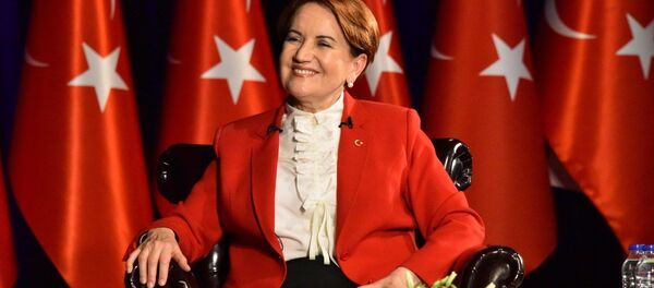 Meral Akşener - Sputnik Türkiye
