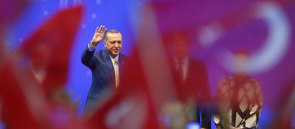 Cumhurbaşkanı Recep Tayyip Erdoğan - Sputnik Türkiye