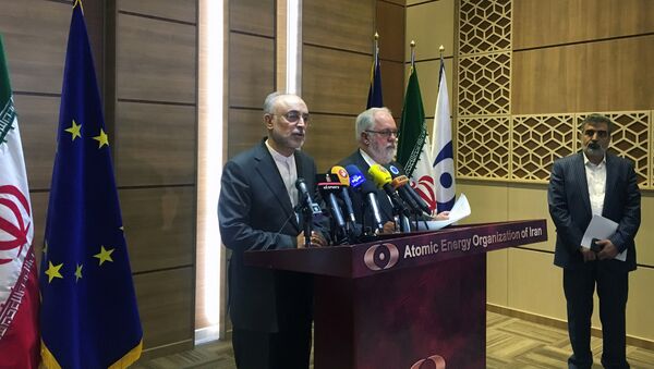 İran Atom Enerjisi Kurumu Başkanı Ali Ekber Salihi ile Avrupa Komisyonu'nun enerjiden sorumlu üyesi Miguel Arias Canete Tahran'da basın toplantısında - Sputnik Türkiye