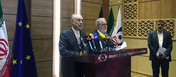 İran Atom Enerjisi Kurumu Başkanı Ali Ekber Salihi ile Avrupa Komisyonu'nun enerjiden sorumlu üyesi Miguel Arias Canete Tahran'da basın toplantısında - Sputnik Türkiye