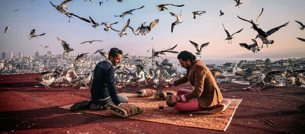 Andrey Stenin Yarışması'nın finalistleri - Sputnik Türkiye