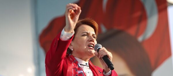 Meral Akşener Meral Akşener - Sputnik Türkiye