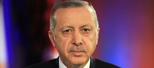 Cumhurbaşkanı Recep Tayyip Erdoğan - Sputnik Türkiye