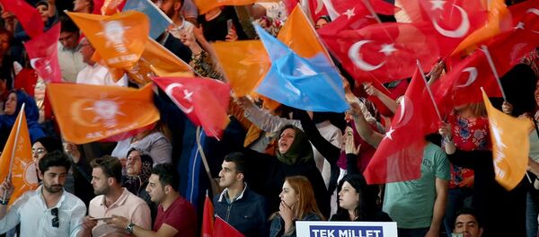 AK Parti, seçmen, beyanname - Sputnik Türkiye