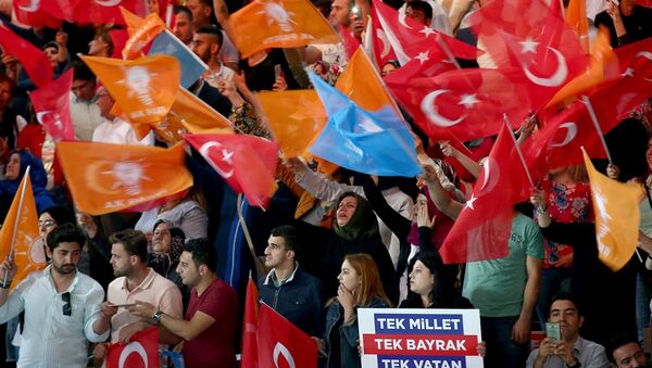 AK Parti, seçmen, beyanname - Sputnik Türkiye