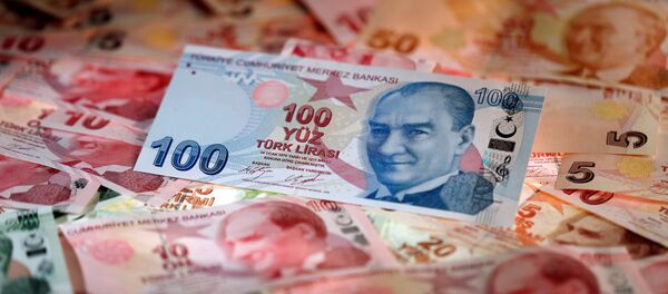 Türk Lirası, TL, lira, para - Sputnik Türkiye