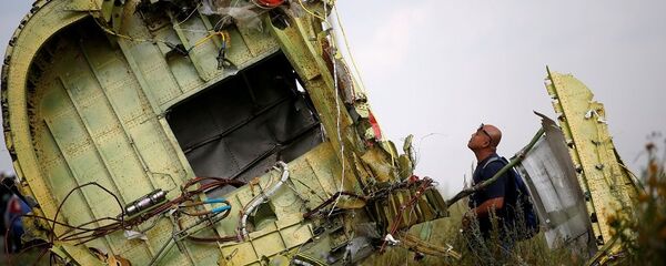 MH17 sefer sayılı yolcu uçağı - Sputnik Türkiye