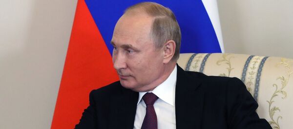 Rusya Devlet Başkanı Vladimir Putin - Sputnik Türkiye