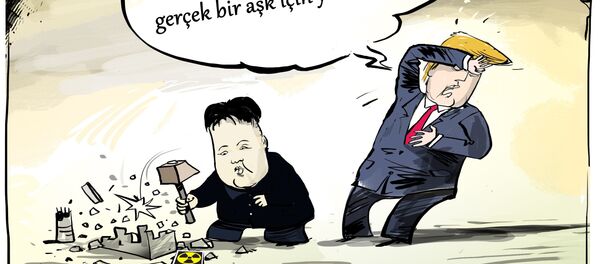 Karikatür - Sputnik Türkiye